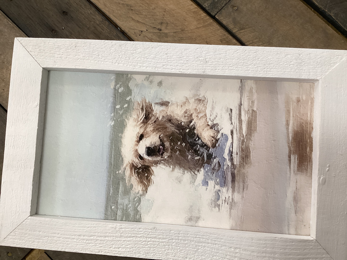 Dog running in the water- vertical white