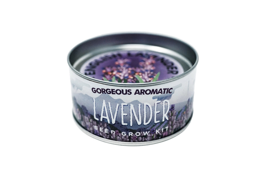 Lavender | Flower Seed Grow Kit