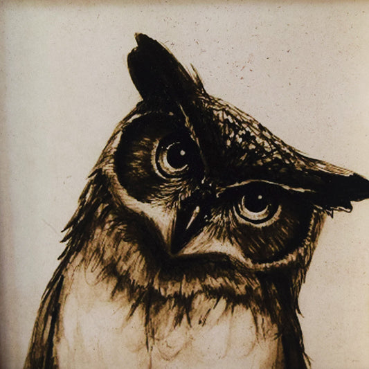 Small Owl Rustic Framed Art